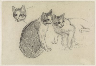 Studieblad med katter av Jan van Essen