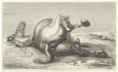fallen häst Dead Horses (serietitel) av Jan van Huchtenburg