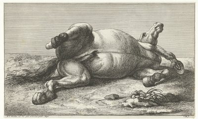 Död häst som ligger på sin vänstra sida Dead Horses (serietitel) av Jan van Huchtenburg