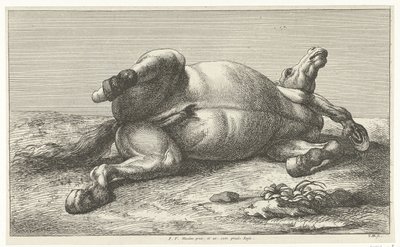 Död häst som ligger på sin vänstra sida Dead Horses (serietitel) av Jan van Huchtenburg