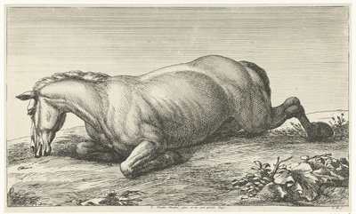 Död häst som ligger på magen Dead Horses (serietitel) av Jan van Huchtenburg