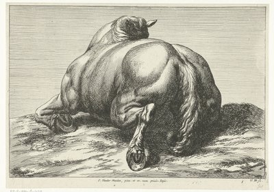 Fallen häst på magen sedd bakifrån Fallen Horses (serietitel) av Jan van Huchtenburg