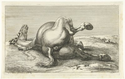 Fallen häst sedd bakifrån Fallen Horses (serietitel) av Jan van Huchtenburg
