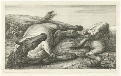 Två fallna hästar, den vänstra sedd framifrån Fallen Horses (serietitel) av Jan van Huchtenburg