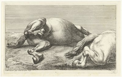 Två fallna hästar, den högra sett från sidan Dead Horses (serietitel) av Jan van Huchtenburg