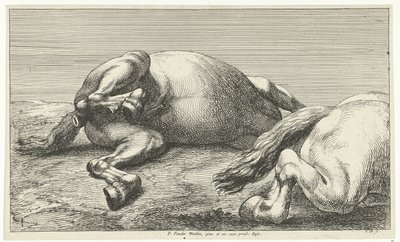 Två fallna hästar, den högra sett från sidan Fallen Horses (serietitel) av Jan van Huchtenburg