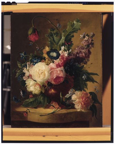 Blomma stilleben av Jan van Huysum