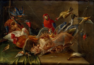 Dekorativ stillebenskomposition med fåglar och två fladdermöss, mitten av 1600-talet av Jan van Kessel