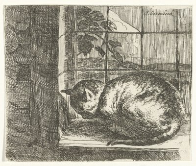 Katt i fönsterkarmen av Jan van Ossenbeeck