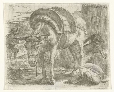 Pakezel av Jan van Ossenbeeck