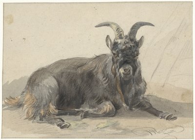 Liggande svart get av Jan van Ravenswaay