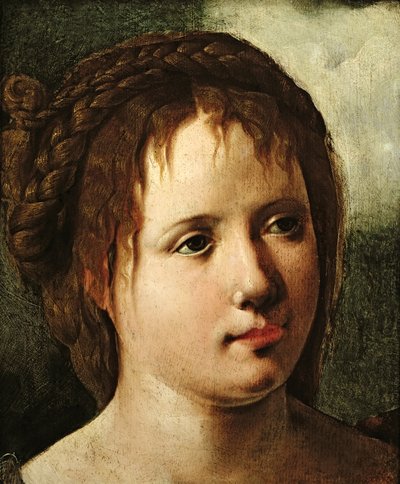Chef för en flicka, 153035 av Jan van Scorel