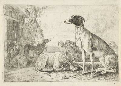 hundkoja Djur (serietitel) Zoographiam (serietitel) av Jan van den Hecke