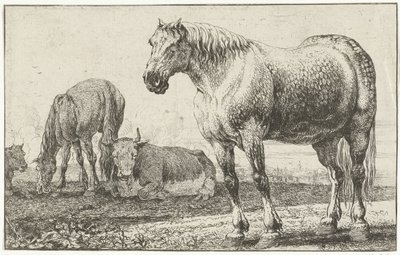Hästar och kor Djur (serietitel) Zoographiam (serietitel) av Jan van den Hecke
