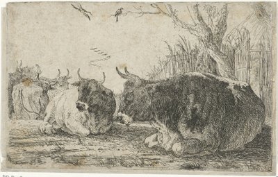 Ruhende Kühe von Jan van den Hecke