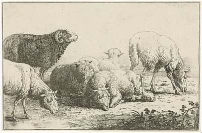 Får Djur (serietitel) Zoographiam (serietitel) av Jan van den Hecke