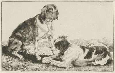 Zwei ruhende Hunde von Jan van den Hecke