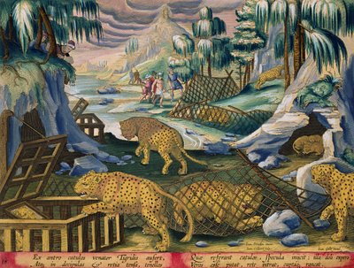 Att fånga leoparder med hjälp av nät och burar betade med speglar, skylt 15 från 