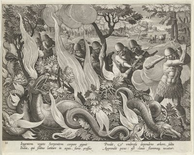 Fånga ormar i Indien med klubbor och facklor för att tända undervegetationen, pub. 1640 gravyr. av Jan van der Straet