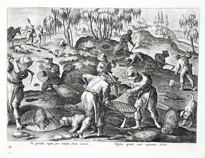 Gräva ut och fånga piggsvin, skylt 54, illustration från 