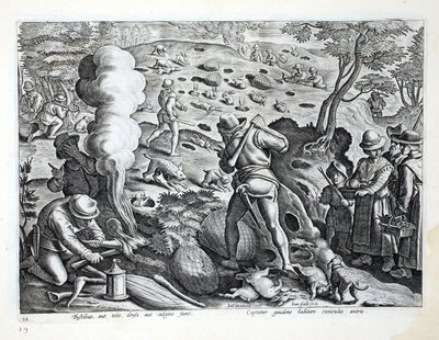 Jaktkaniner, illustration från 
