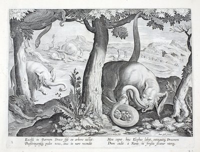 Orm som används vid elefantjakt, illustration från 