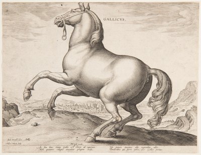 En fransk häst, från den första uppsättningen av "Equile Joannis Austriaci" av Jan van der Straet, called Stradanus