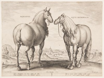 En romersk häst, från den första uppsättningen av "Equile Joannis Austriaci" av Jan van der Straet, called Stradanus
