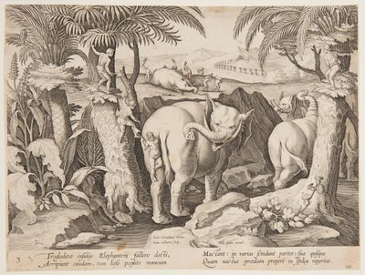 Cavemen Chasing Elephants, tallrik 3 från serien Hunting of Wild Animals, Birds and Fish av Jan van der Straet, called Stradanus