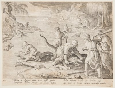 Krokodiljakt i Tentyra, i Egypten, tallrik 30 från serien Hunts of Wild Animals, Birds and Fish av Jan van der Straet, called Stradanus