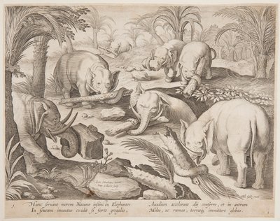 Elefanter som håller varandra ur en fälla, tallrik 1 från serien Game of Animals, Birds and Fish av Jan van der Straet, called Stradanus