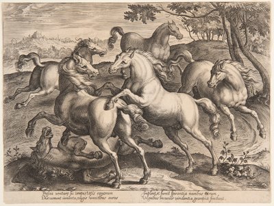 Fighting Horses, från den fjärde uppsättningen av "Equile Joannis Austriaci" av Jan van der Straet, called Stradanus