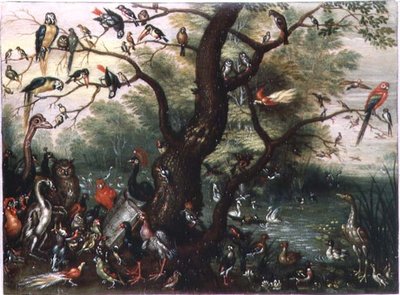 Concert of Birds (olja på koppar) av Jan van the Elder Kessel
