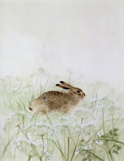 Kanin av Jane Neville