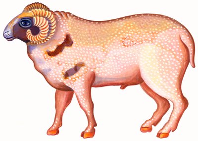 Aries the Bag, 1996, (bläck och gouache) av Jane Tattersfield