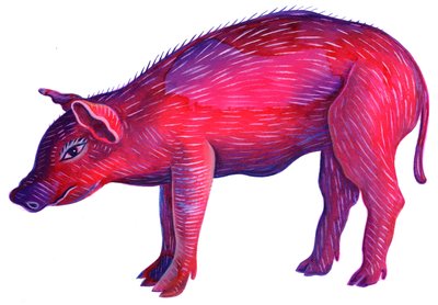 Pig, 1996, (bläck och gouache) av Jane Tattersfield