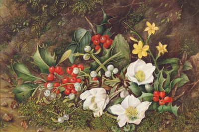 Järnek och julrosor (wc på papper) av Jane Taylor