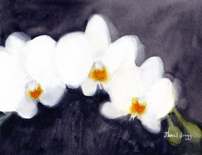 Orchid White Phalaenopsis, ca 2021 (akvarell och kasein på papper) av Janel Bragg