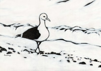 Seagull from Washington Park, ca 2017 (kol och gesso på papper) av Janel Bragg