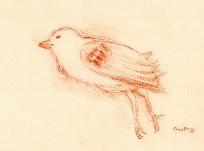 Vulerability and Death in Summer (Dead Bird by my Stairwell III) ca 2021 (pastell på papper) av Janel Bragg
