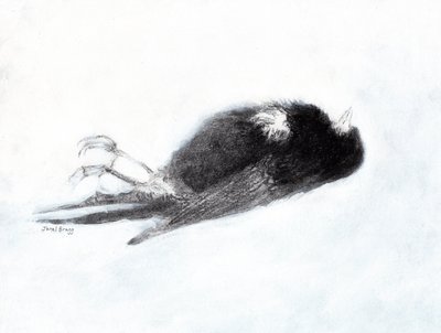 Sårbarhet och död på vintern (Dead Bird by my Stairwell II, ca 2019) kol och gesso på papper) av Janel Bragg
