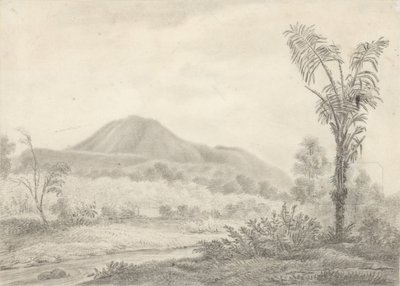 Javanesiskt landskap med berg och palm av Jannes Theodorus Bik