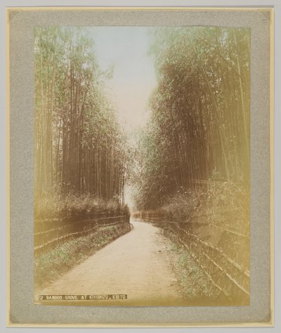 Bamboo Grove i Kiyomizu, Kyoto, Japan (handfärgat svartvitt foto) av Japanese Photographer