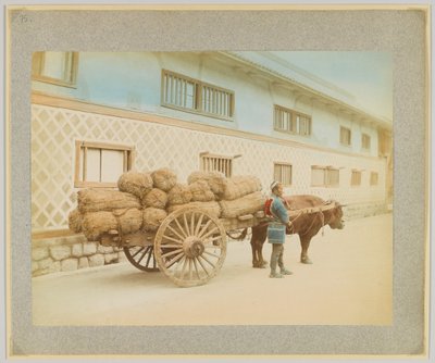 Man med oxe och vagn, Japan (handfärgat svartvitt foto) av Japanese Photographer