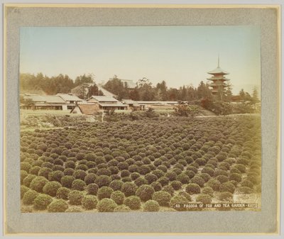 Pagoda of Toji and Tea Garden, Kyoto, Japan (handfärgat svartvitt foto) av Japanese Photographer