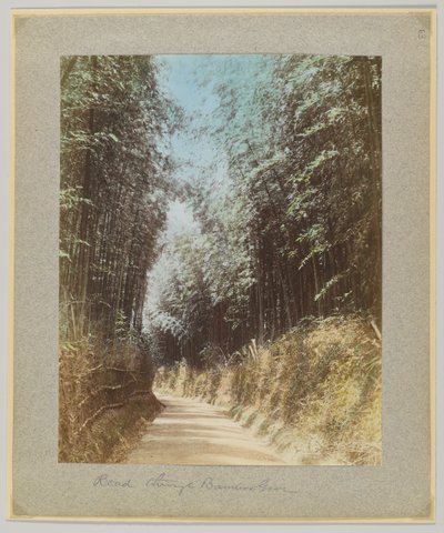 Väg genom en bambulund, Japan (handfärgat svartvitt foto) av Japanese Photographer