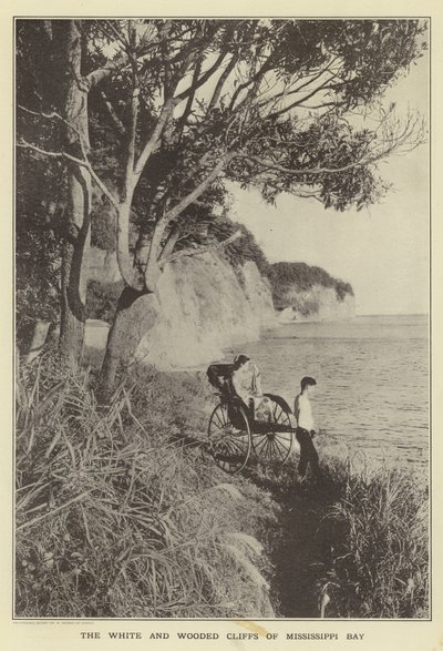 De vita och trädbevuxna klipporna i Mississippi Bay av Japanese Photographer