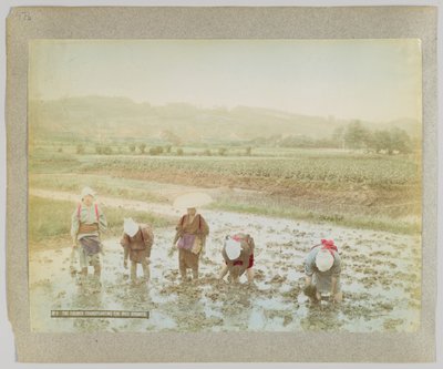 Transplantering av risgroddar, Japan (handfärgat svartvitt foto) av Japanese Photographer