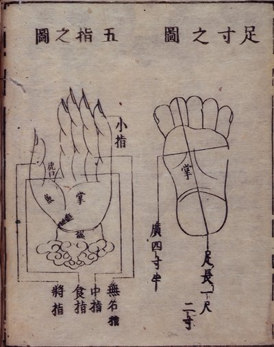 16029.b.5 fol.15v Diagram som visar akupunkturpunkter i händer och fötter, från en japansk kommentar till ett kinesiskt verk om akupunktur, Shisijing fahui från 1341 av Hua Shou, Kyoto av Japanese School
