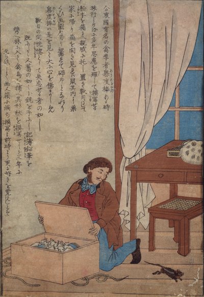 Audubon öppnar sin ask med akvareller förstörd av norska råttor, ca 1872-77 av Japanese School